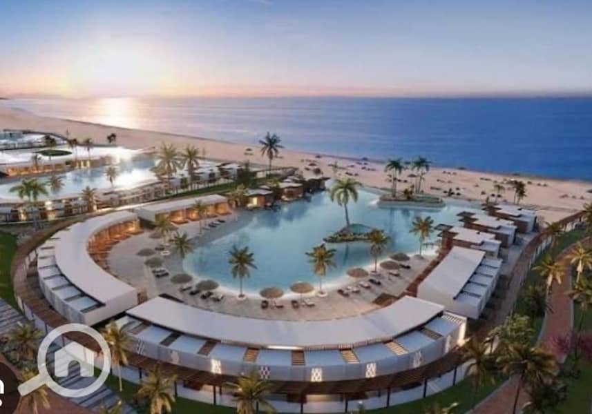 3 41b918a7-52ef-4064-96c5-88c592d2bb03. jpg