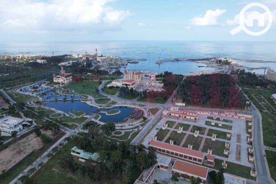 5 WhatsApp Image 2025-10-27 at 4.00. 39 PM (1). jpg