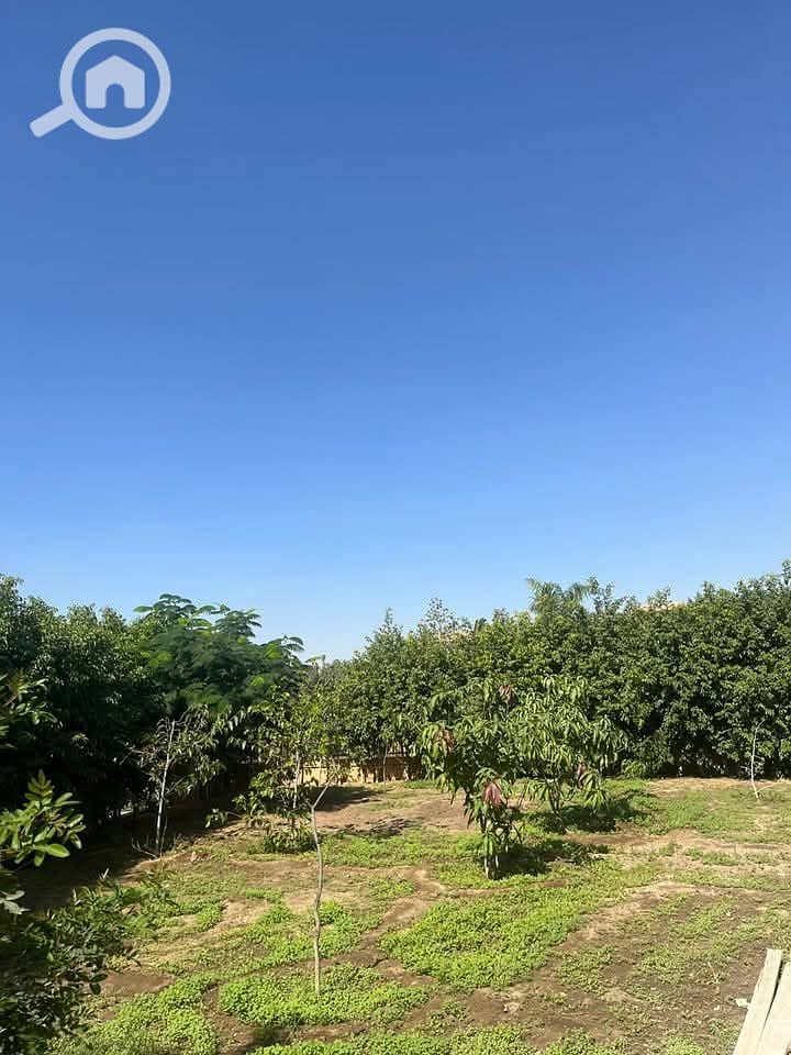 11 IMG-20251030-WA0041. jpg