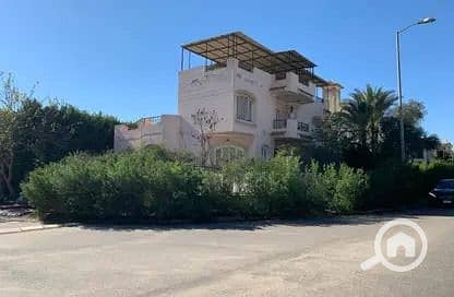 5 71a52bf6-514b-4133-8487-1ecd28897474. jpg