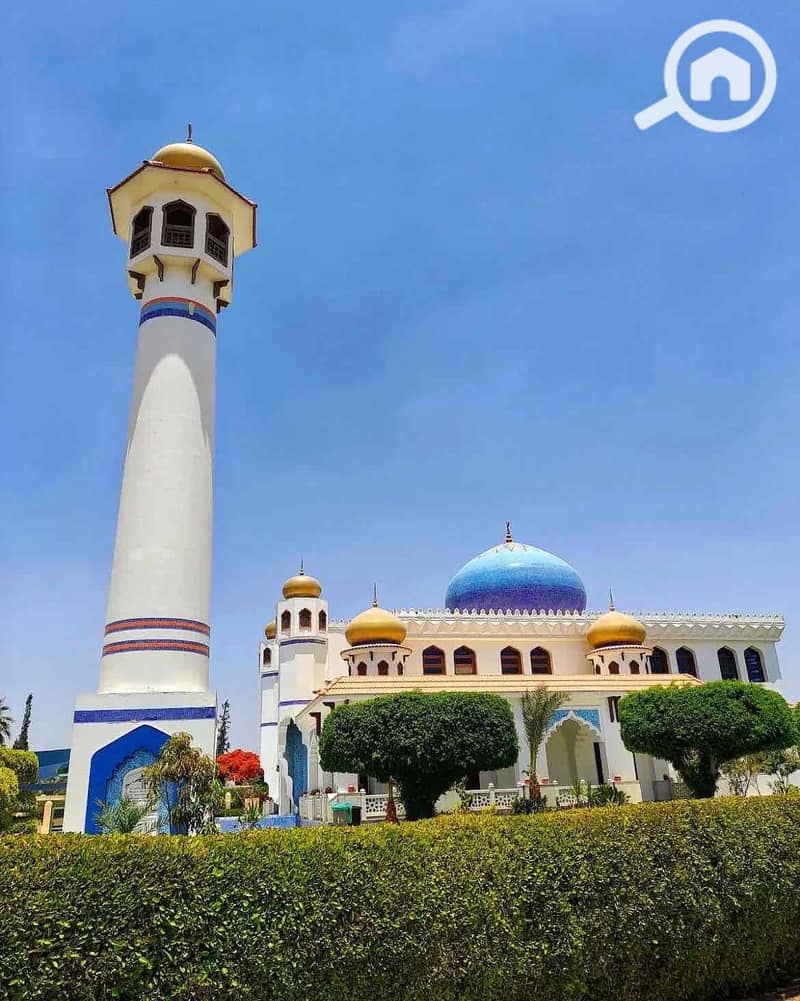 14 a705f9e7-afdb-4414-9805-53cc4c84e58e. jpg