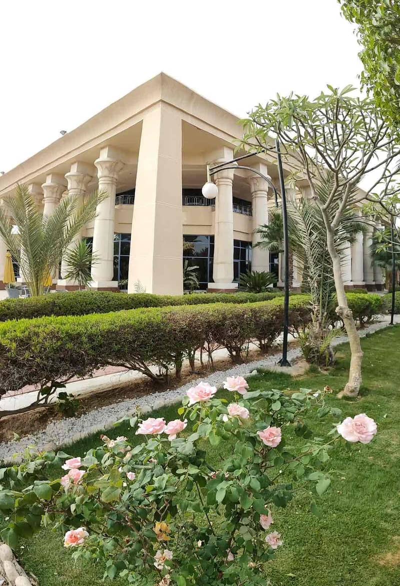 15 70555913-f51b-44e1-87c4-d27d4d23a133. jpg