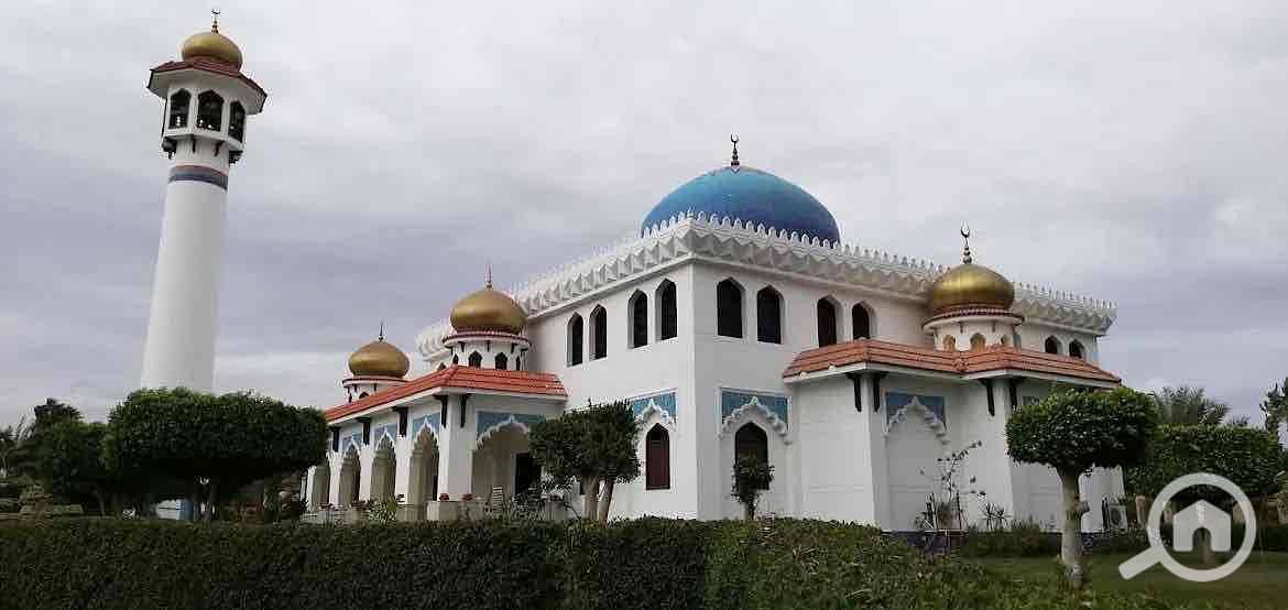 17 829de1cc-e07a-4fb3-8a73-68fee871e06c. jpg