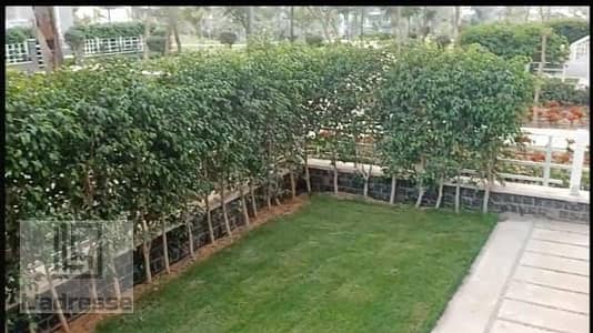 2 Bedroom Flat for Sale in Madinaty, Cairo - IMG-20251102-WA0087. jpg