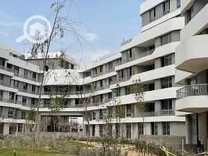 3 WhatsApp Image 2025-09-11 at 6.54. 00 AM (4). jpeg