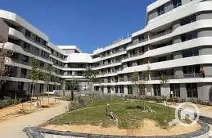 5 WhatsApp Image 2025-09-11 at 6.54. 00 AM (2). jpeg