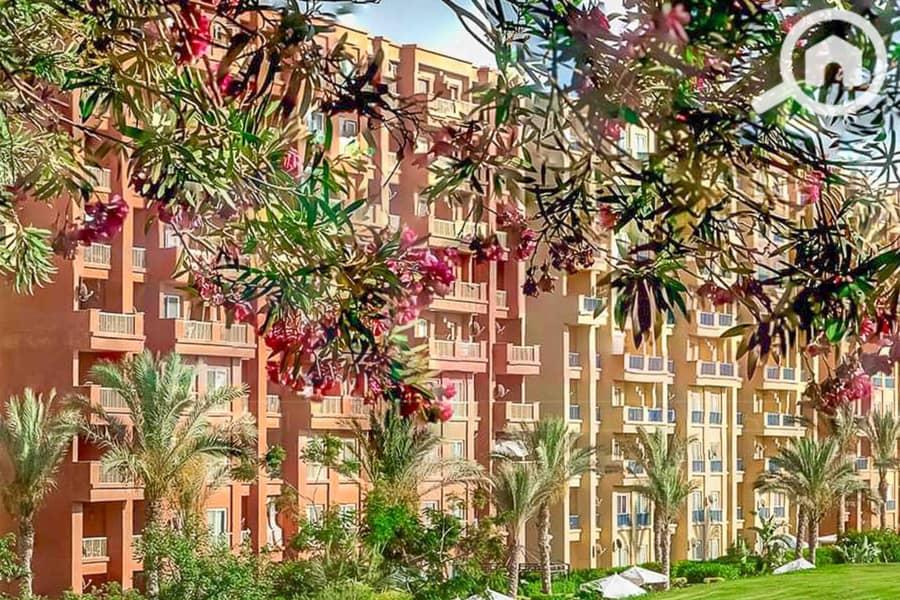 16 WhatsApp Image 2025-05-06 at 12.31. 23 PM (1). jpg