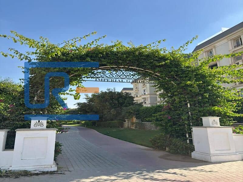 7 a4edb037-3d38-4468-9865-fffd222974d8. jpg