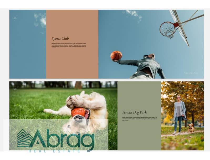 11 WhatsApp Image 2025-10-19 at 13.51. 53_d420b863. jpg