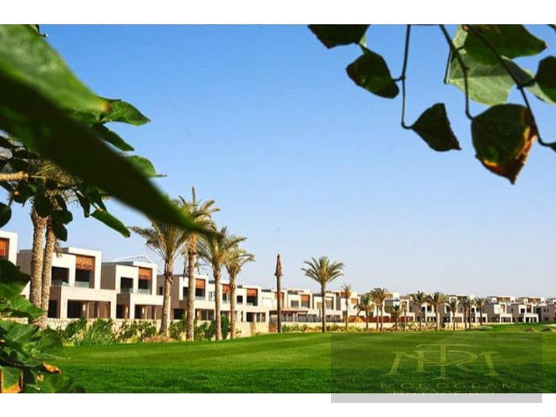 13 original (1). jpg