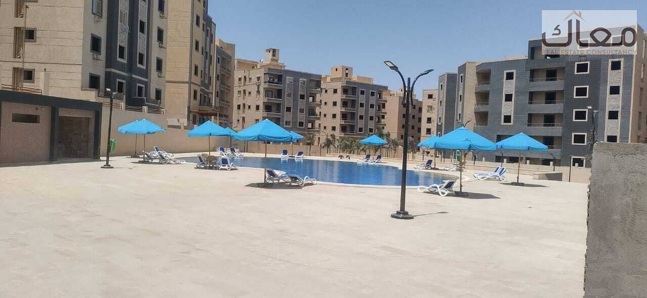 8 d997d33d-76df-4b1e-adab-0f483d41246e (1). jpg