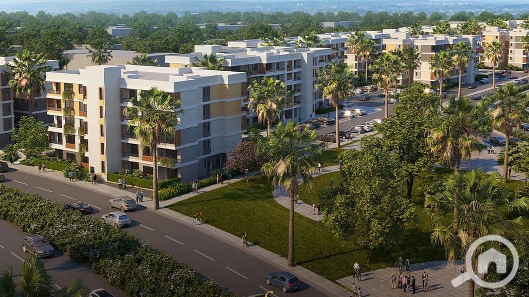 3 Untitled-2_0017_Layer-2. jpg