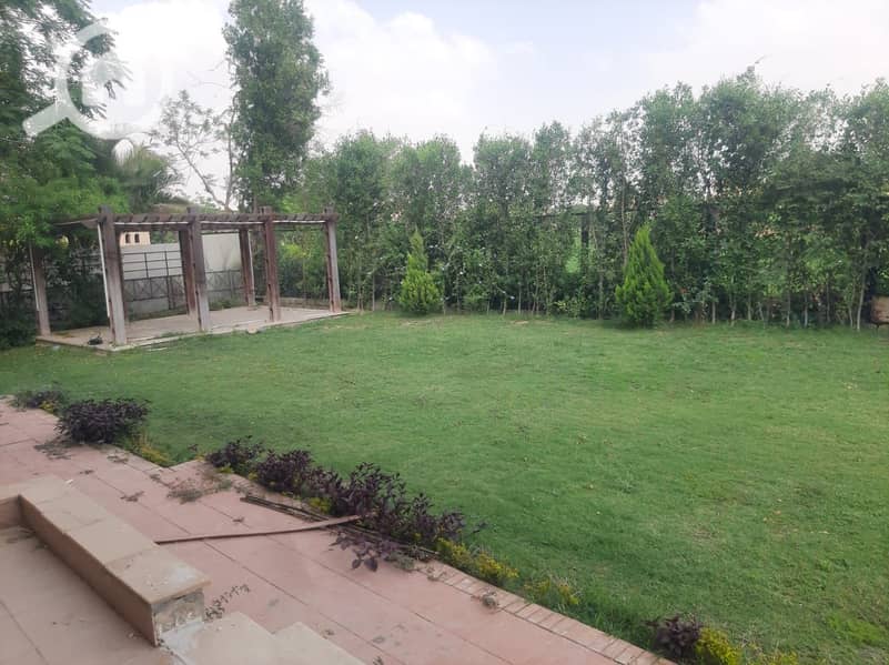 26 5363ae43-f6cb-4f39-8ce4-ce03df1172f3. jpeg