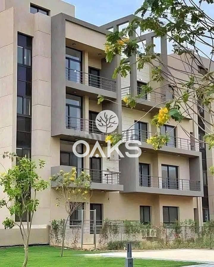 3 WhatsApp Image 2025-10-02 at 13.22. 16_d17b037e. jpg