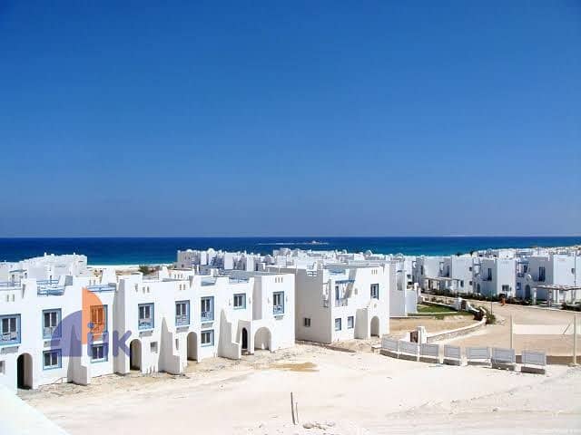 WhatsApp Image 2025-08-19 at 17.25. 46_292883ae. jpg