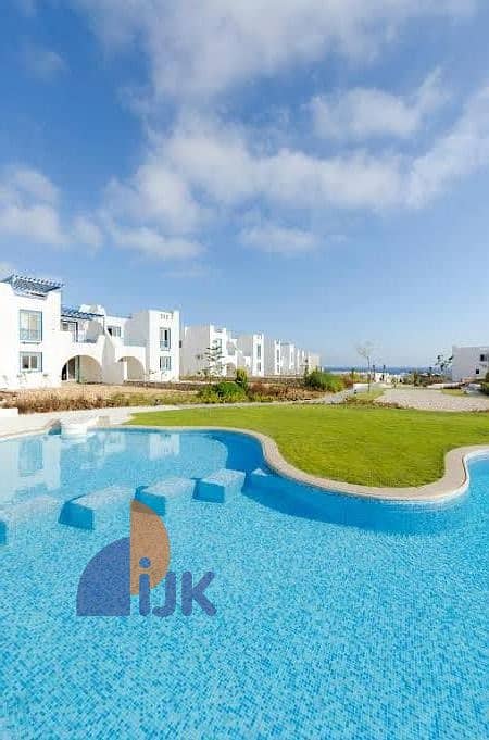 4 WhatsApp Image 2025-08-19 at 17.25. 45_773ab0fc. jpg