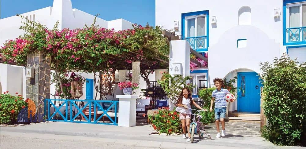 10 WhatsApp Image 2025-08-19 at 17.25. 46_de64120c. jpg