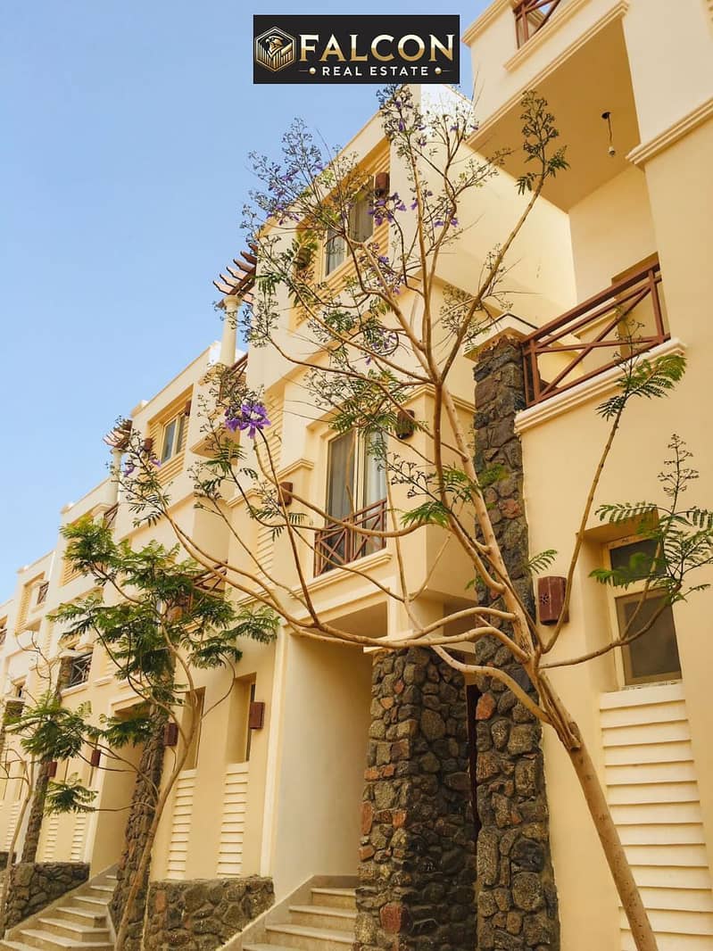 7 60c34666-0f02-45c3-ac33-774223b55c5e. jpg