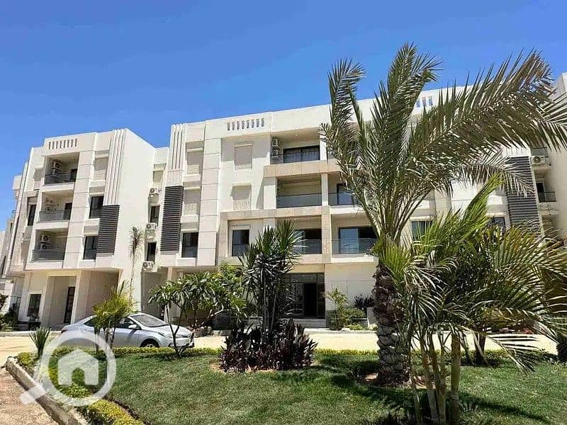 15 32699715-800x600. jpg