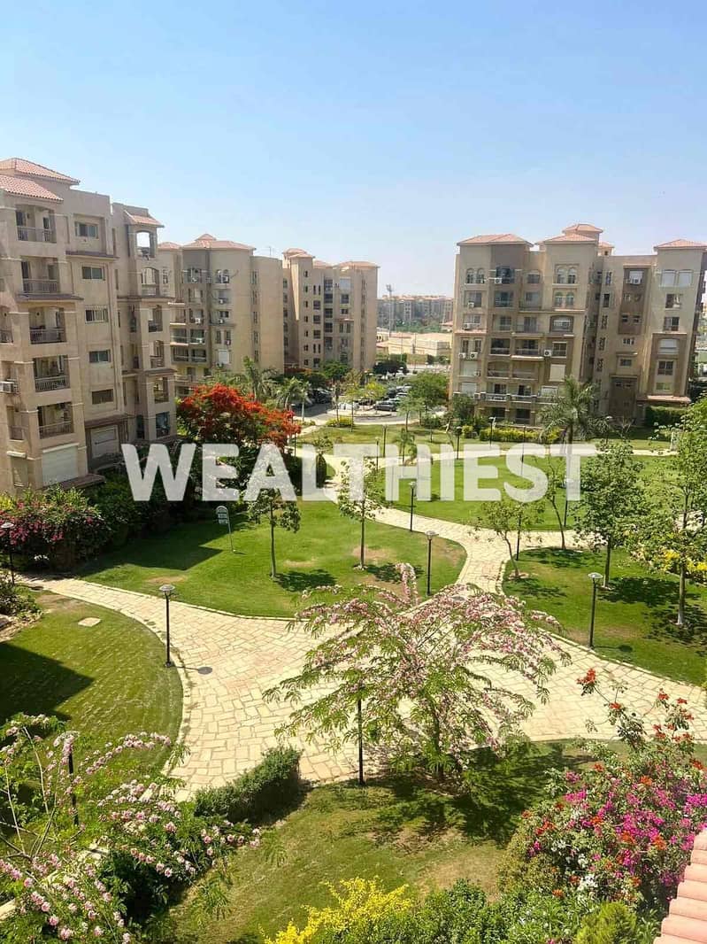 2 cd26b44b-1166-4d46-b5e2-b07da0838364. jpg