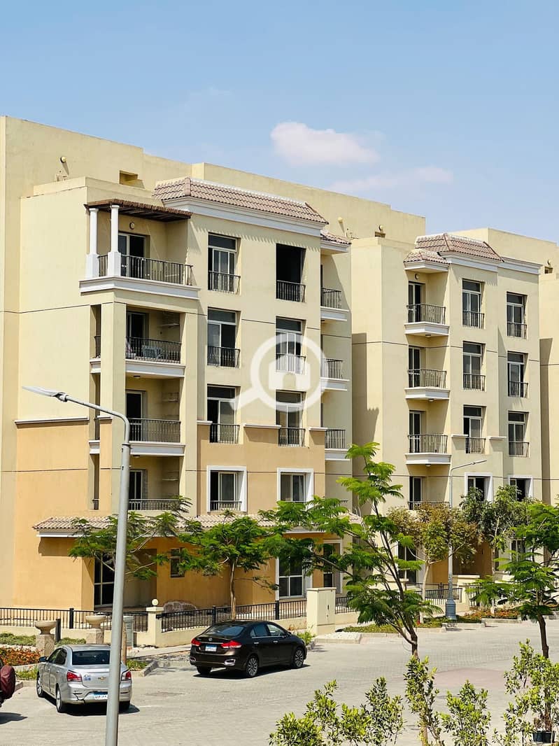 11 463877801_122212421492027878_8017587767452078248_n. jpg