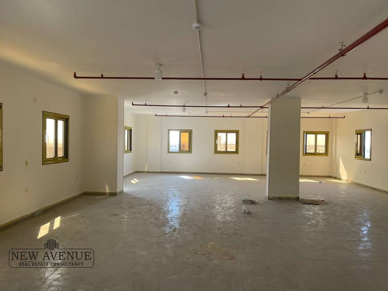 5 WhatsApp Image 2025-10-20 at 4.17. 21 PM. jpeg