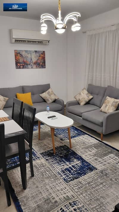 استوديو  للايجار في القاهرة الجديدة، القاهرة - صورة واتساب بتاريخ 1447-05-11 في 13.43. 25_33f26159. jpg