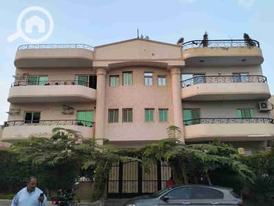 دوبلكس 3 غرف نوم للايجار في القاهرة الجديدة، القاهرة - IMG-20251030-WA0017. jpg