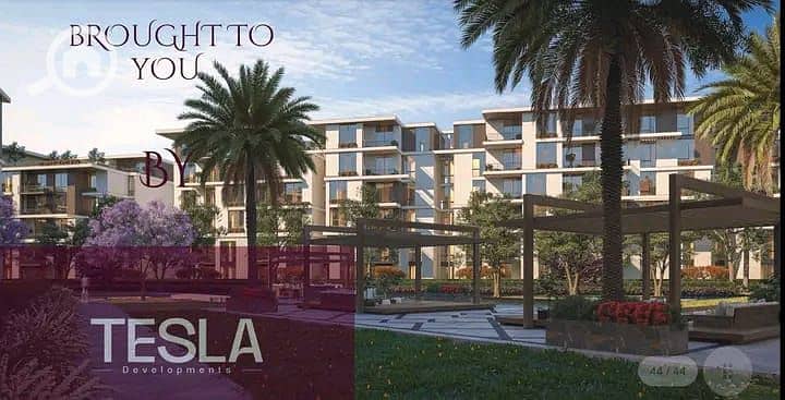 5 112188fa-ad67-4b38-946f-6d2993b4d841. jpg