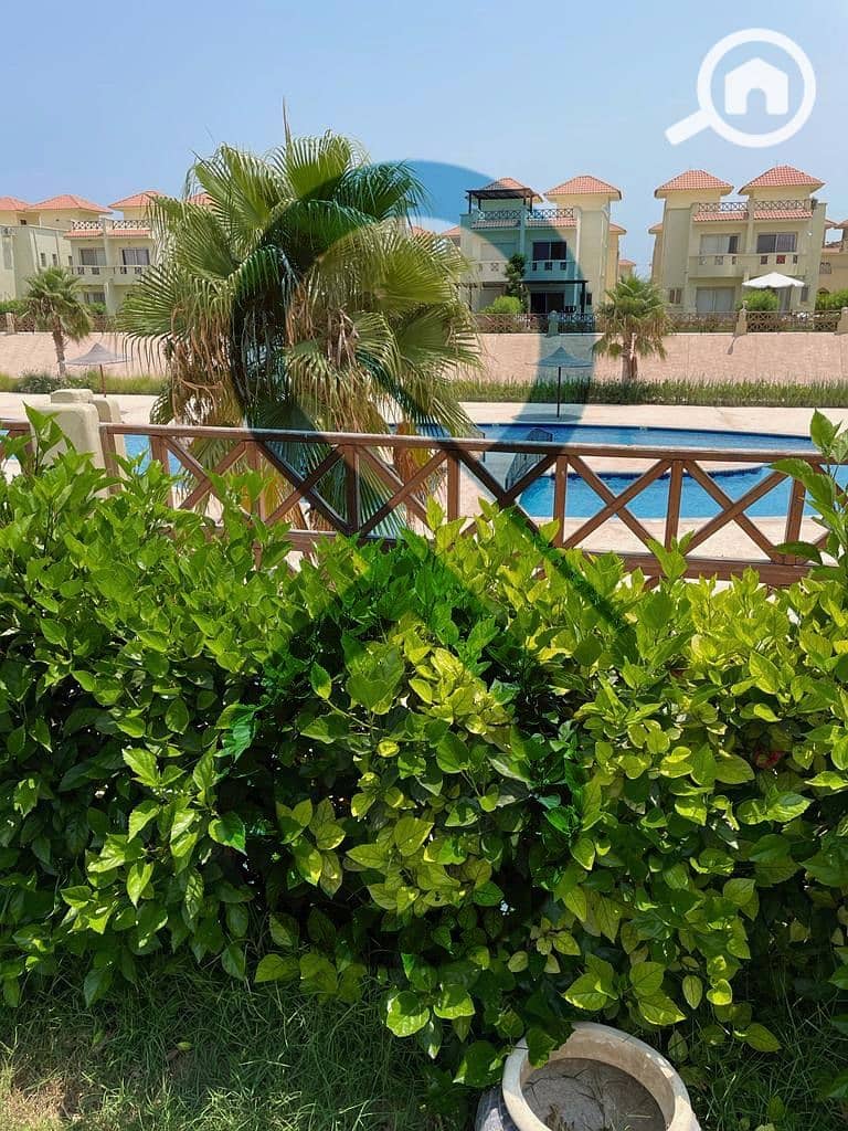 5 PHOTO-2025-11-02-13-57-47 3. jpeg