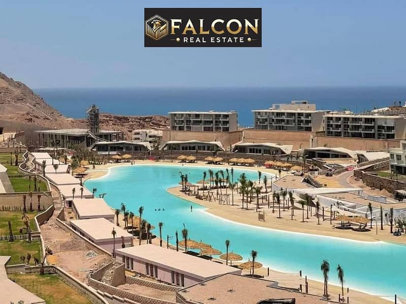 10 574950287_122154069308877090_1127657280989548798_n. jpg