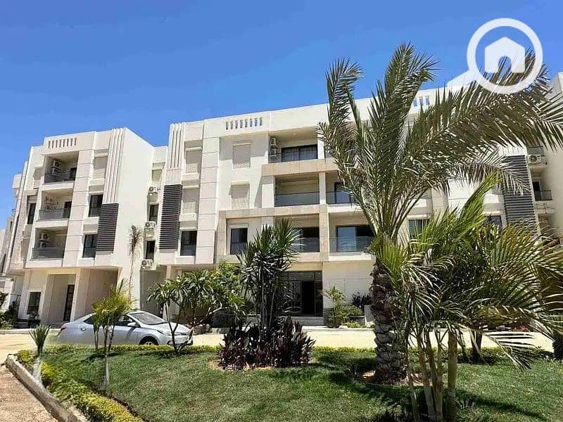 5 32699715-800x600. jpg