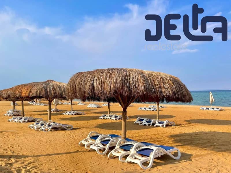 3 556569504_2503900213328739_4949671741542341535_n. jpg