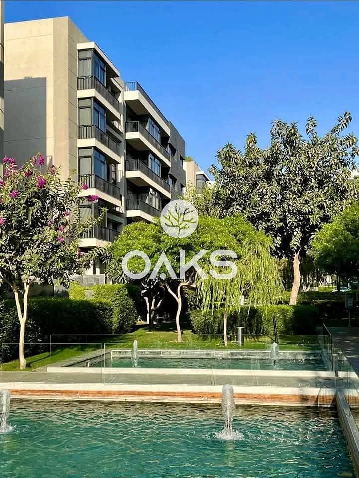 WhatsApp Image 2025-08-13 at 17.43. 28_245399f9. jpg