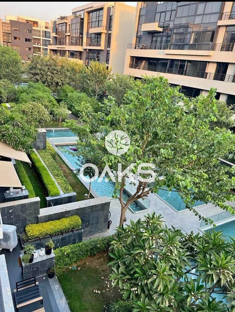 6 WhatsApp Image 2025-09-29 at 15.44. 49_d2caf252. jpg