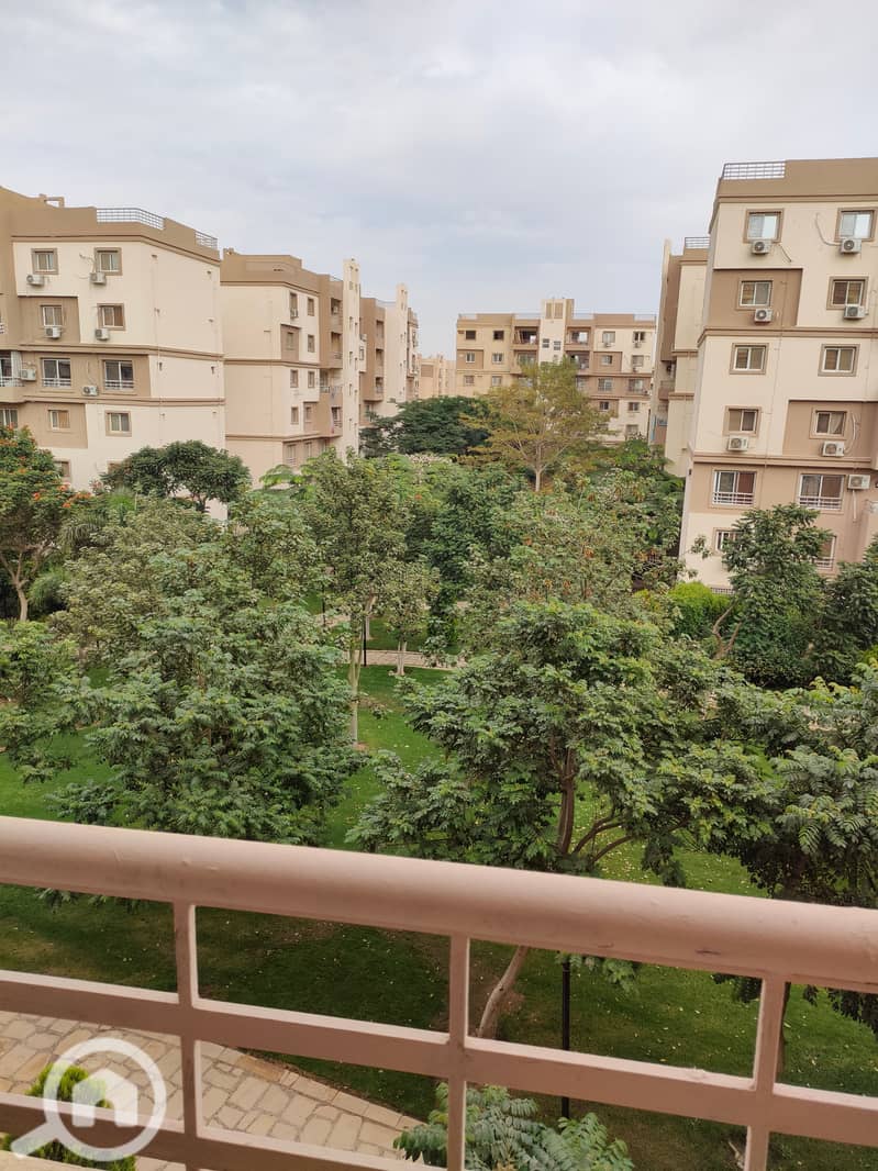 9 IMG20251102120553. jpg