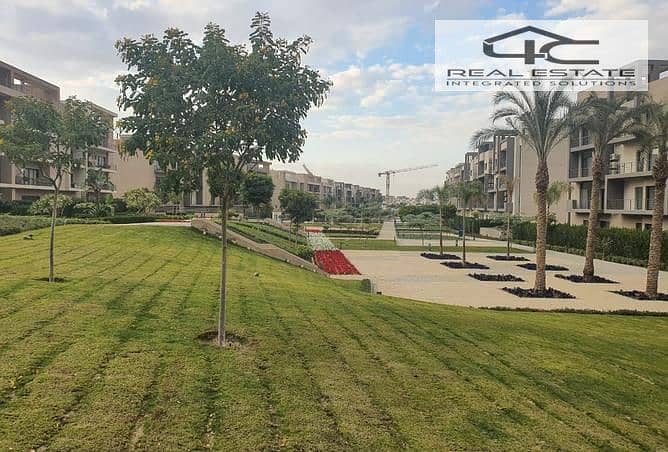 10 3837468-1e199o. jpg