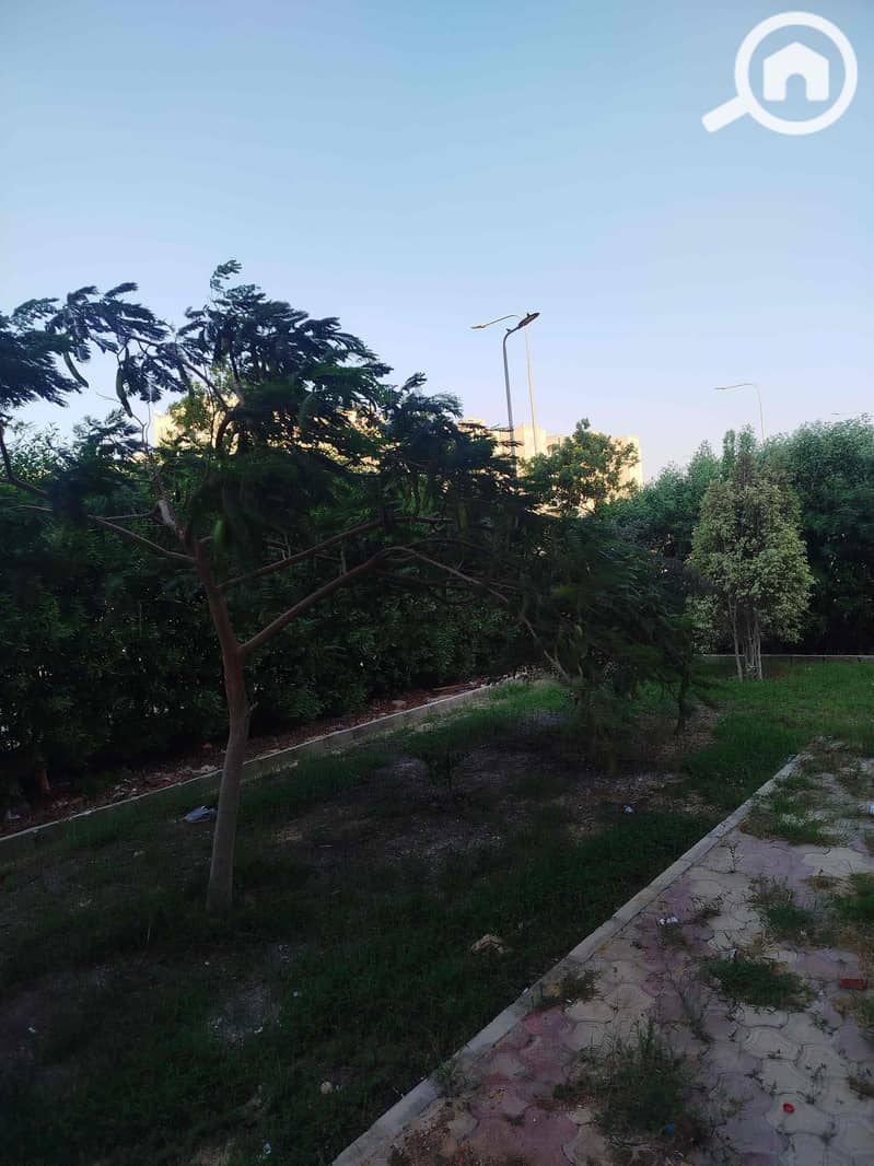 2 1a7afbed-5733-4fc5-9b8d-b2396b4020f1. jpg