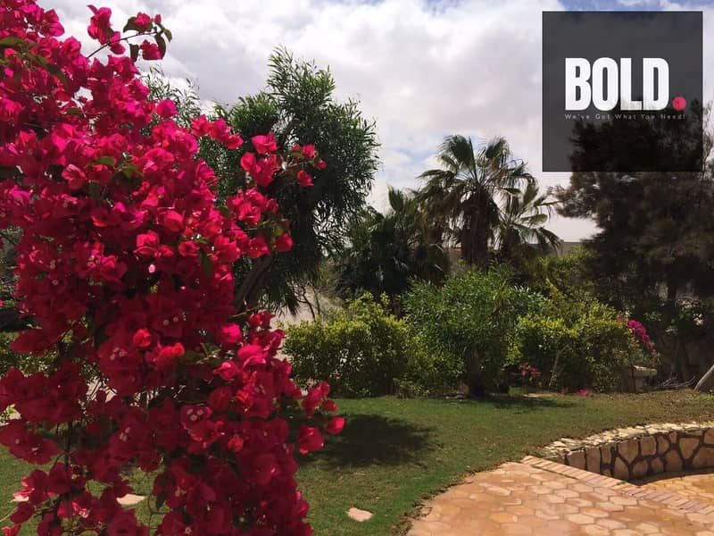 2 WhatsApp Image 2025-08-10 at 7.00. 22 PM (2). jpeg