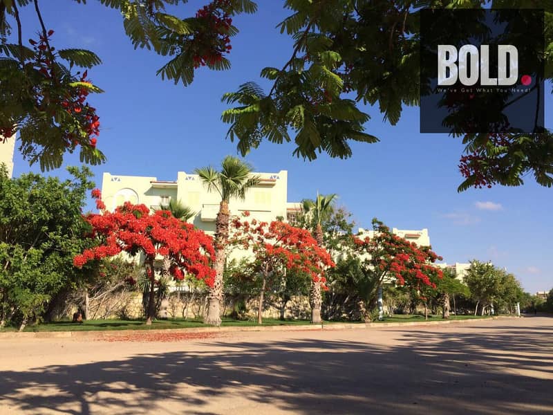 3 WhatsApp Image 2025-08-10 at 7.00. 22 PM (3). jpeg