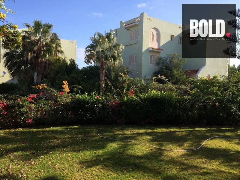 4 WhatsApp Image 2025-08-10 at 7.00. 22 PM. jpeg