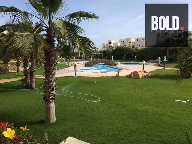 10 WhatsApp Image 2025-08-10 at 7.00. 25 PM (3). jpeg