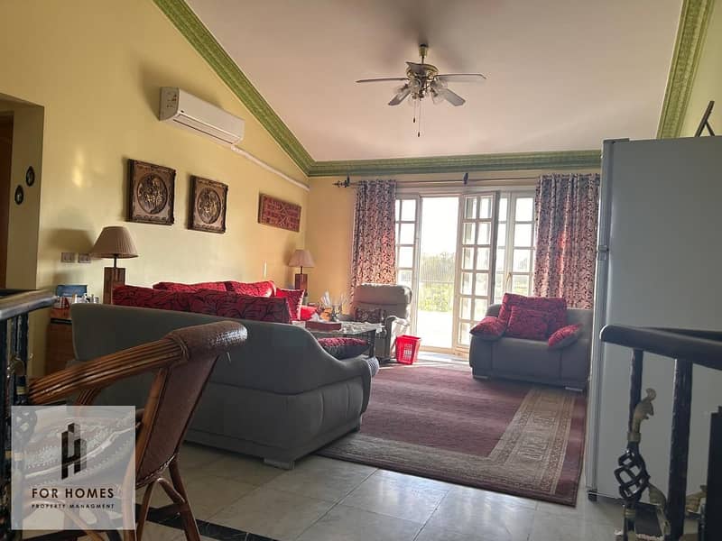 4 WhatsApp Image 2025-10-19 at 8.53. 13 PM. jpeg