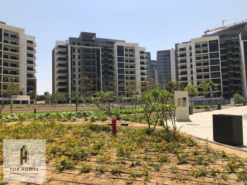 9 WhatsApp Image 2024-08-07 at 5.33. 30 PM. jpeg