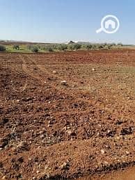 Residential Land for Sale in Qanater al-Khairia, Qalyubia - احمد10. jpeg