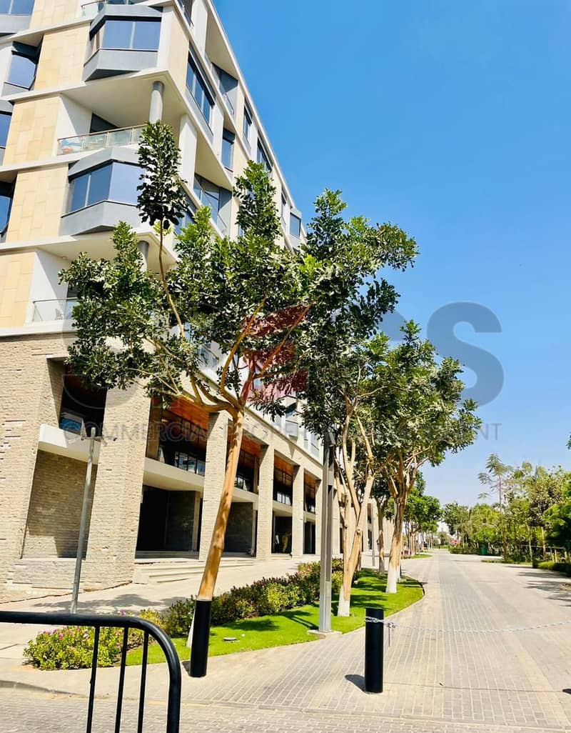 4 e8842108-ba4a-4260-af6c-dff4534bfc98. jpg