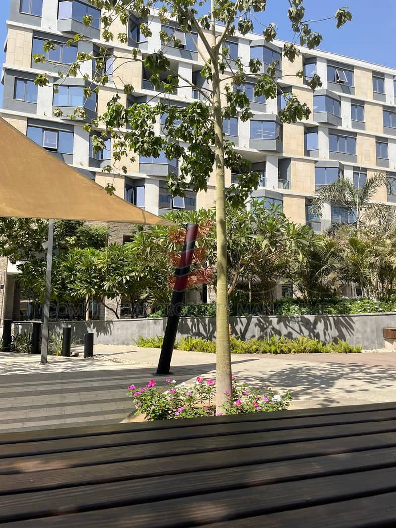 5 798b9232-5abb-412c-8059-6dcbcc4e842f. jpg