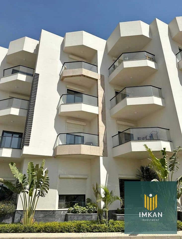 11 438237909_479992691240818_8082122836873534762_n. jpg