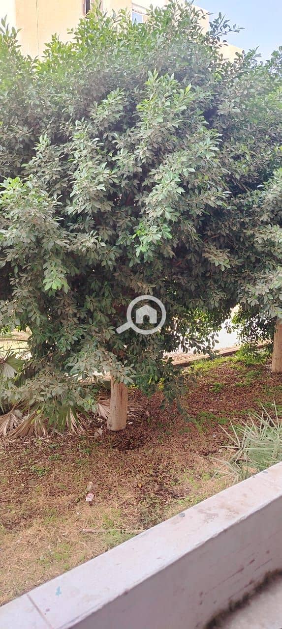 15 صورة واتساب بتاريخ 2025-11-02 في 00.56. 37_f57106fe. jpg