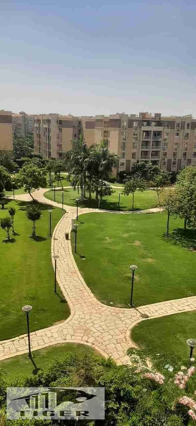 2 Bedroom Apartment for Rent in Madinaty, Cairo - 1000514721. jpg